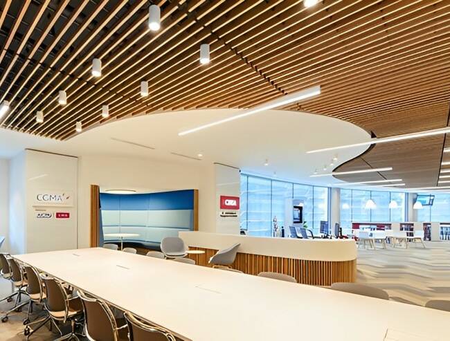 Acoustic Panels in an Office setting